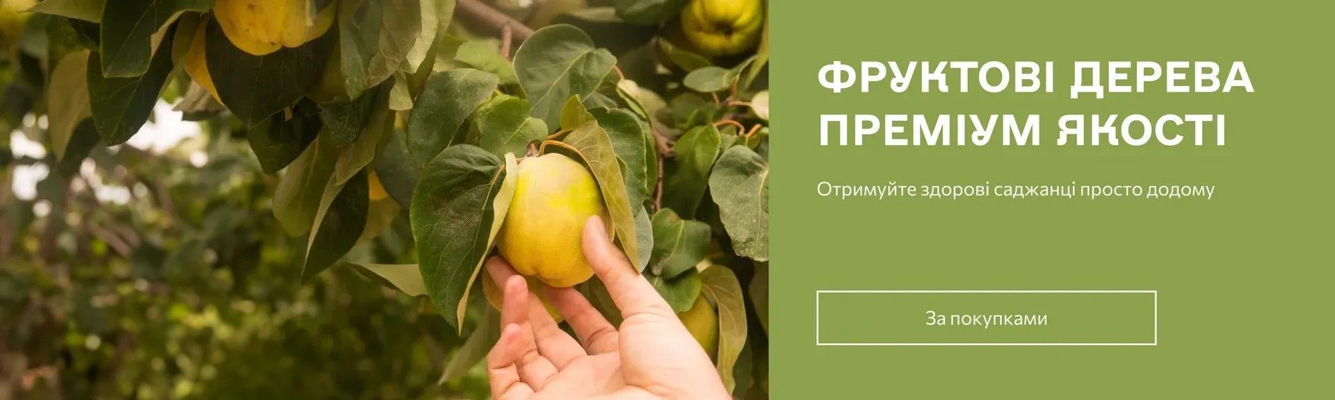 Banner from design